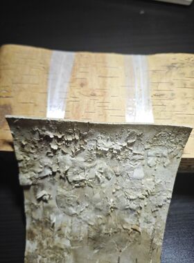 天然风干白桦树皮手工艺品DIY材料绘画装饰管道装修拍摄道具贴墙