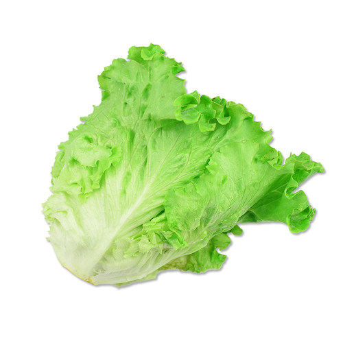 罗莎绿生菜250g 绿叶花叶生菜散叶生菜  西餐色拉沙拉蔬菜食材 - 图3