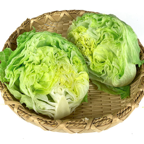 新鲜球生菜5斤 汉堡用西餐蔬菜沙拉食材结球形圆型西生菜顺丰包邮 - 图0