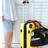 Чемодан, сумка, пакет, ремень, защитный безопасный рюкзак, фиксаторы в комплекте