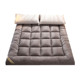 Soy antibacterial student dormitory home mattress single or double