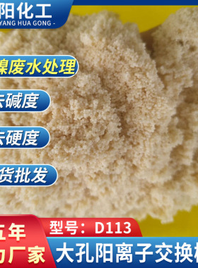 厂家直销大孔吸附树脂，重金属镍吸附专用弱酸阳树脂D113型号齐全