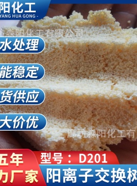 大孔强碱阴离子树脂D201 非极性大孔吸附树脂 阴阳离子交换树脂