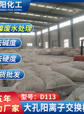 厂家供应大孔弱酸阳离子型号D113 污水处理重金属吸附树脂