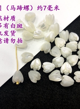 海贝马蹄螺雕刻郁金香花苞古风