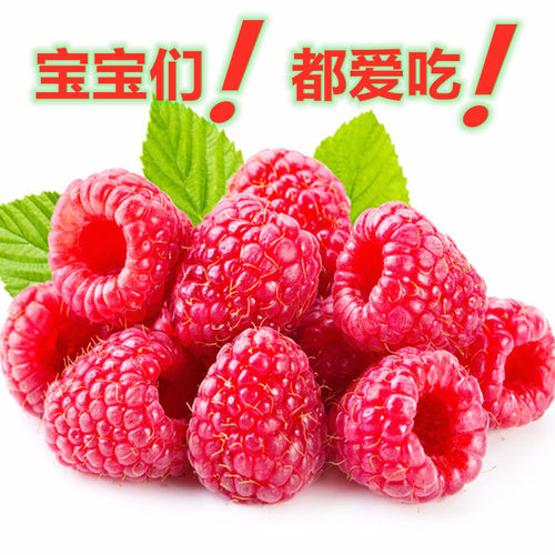 树莓苗盆栽覆盆子苗耐活空心泡食用刺泡儿刺莓苗野草莓蓬蘽苗耐寒 - 图3