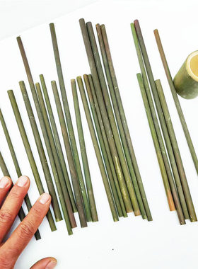 天然小笠竹特细空心竹竿手工材料