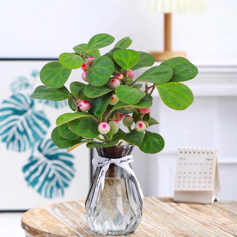 水培植物带果小盼菩提树苔藓球植物办公客厅室内桌面绿植四季盆景,淘宝优惠券,粉丝福利购,淘宝优惠卷