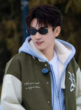 五十公里桃花坞王子奇同款墨镜猫眼jennie眼镜太阳镜金属高级感潮