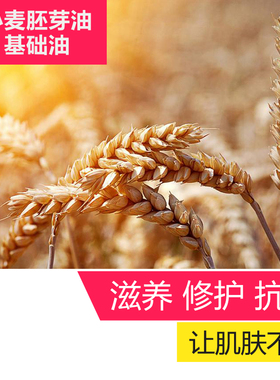 小麦胚芽油基础油正品100ml细肌
