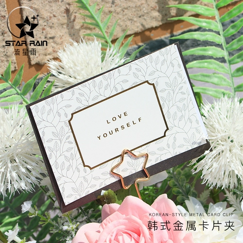 Десяти -летящий старый магазин 16 цветовой букет карта карта Клип Клип Золотая Золотая Металлическая штекер -В IN Flower Pugure Pole Clork Puckaging Materal Card Clip Fangy Flower Art Material