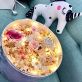 Светодиодная маленькая цветная лампа с легкими полосками, полными звездного цветочного искусства цветочный пирог, торт, подарочная коробка Diy декоративные огни