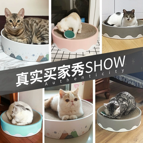 Кошка схватывающие доски гнездо кот кошачьи котт -коття