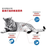 皇家猫粮I27室内成猫10kg全价粮专用改善泌道成猫猫粮2kg营养猫粮