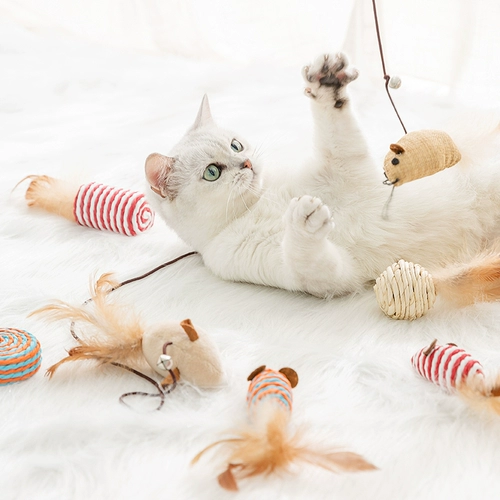 Игрушка, комплект, кот, полный комплект