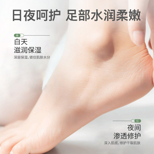 3支 卡伊娜足部护理霜护手霜男女保湿补水滋润肌肤干燥