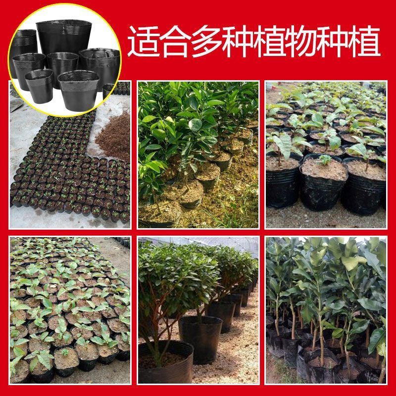 营养育苗杯塑料小碗一次性花盆黑色种植营养袋育苗袋育苗盆营养钵 - 图0