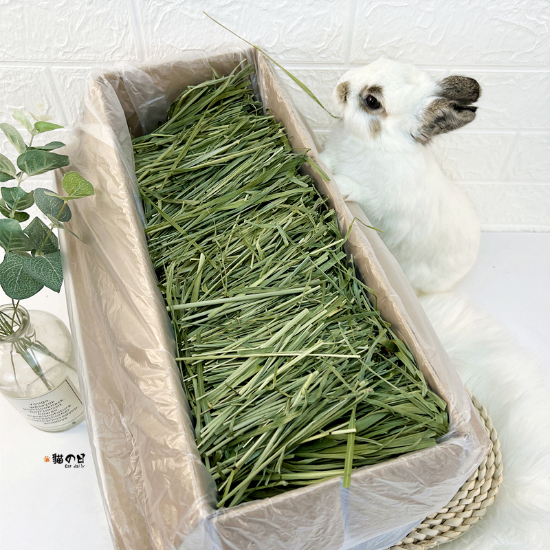 提摩西草嫩绿23年烘干北提国提香脆新草整牧草段兔子龙猫豚鼠1kg - 图2