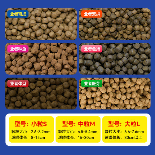 海豚锦鲤鱼饲料育成色扬增体锦鲤鱼食观赏鱼粮四季低温通用不浑水 - 图1