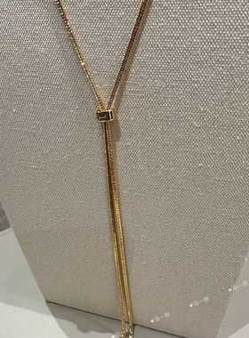 Y型蛇骨链修饰脖子女毛衣链