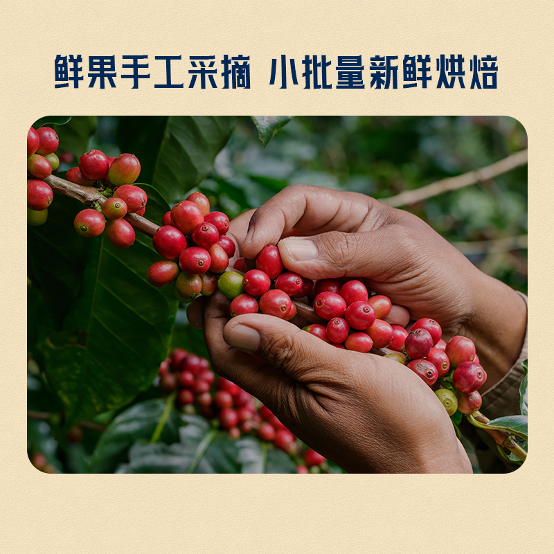 【宝藏系列】LAVAZZA拉瓦萨意式甄选咖啡豆250g油脂丰富门店同款,淘宝优惠券,粉丝福利购,淘宝优惠卷