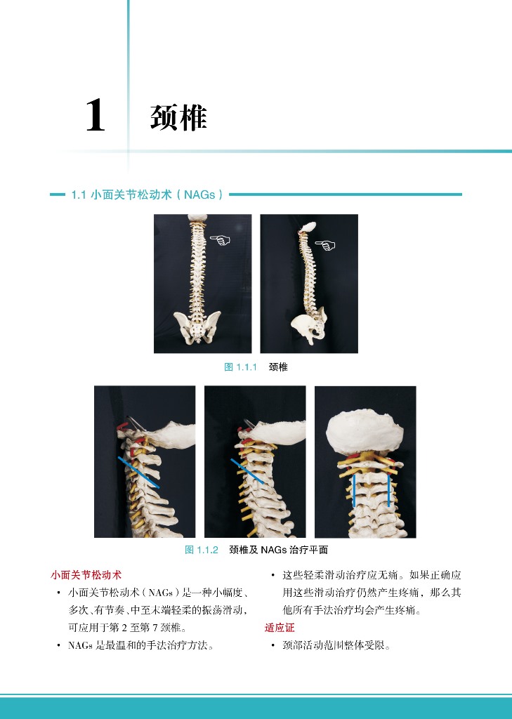 Mulligan手法指南 国际版 一步步教你掌握Mulligan手法治疗精髓 肌肉链与板机点手法镇痛的新理念脊椎四肢动态关节松动术 - 图1