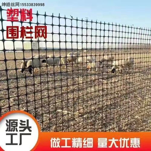 塑料围栏网格拦鸡养殖网户外家用鱼塘防护果园菜地爬藤加厚玉米网 - 图0