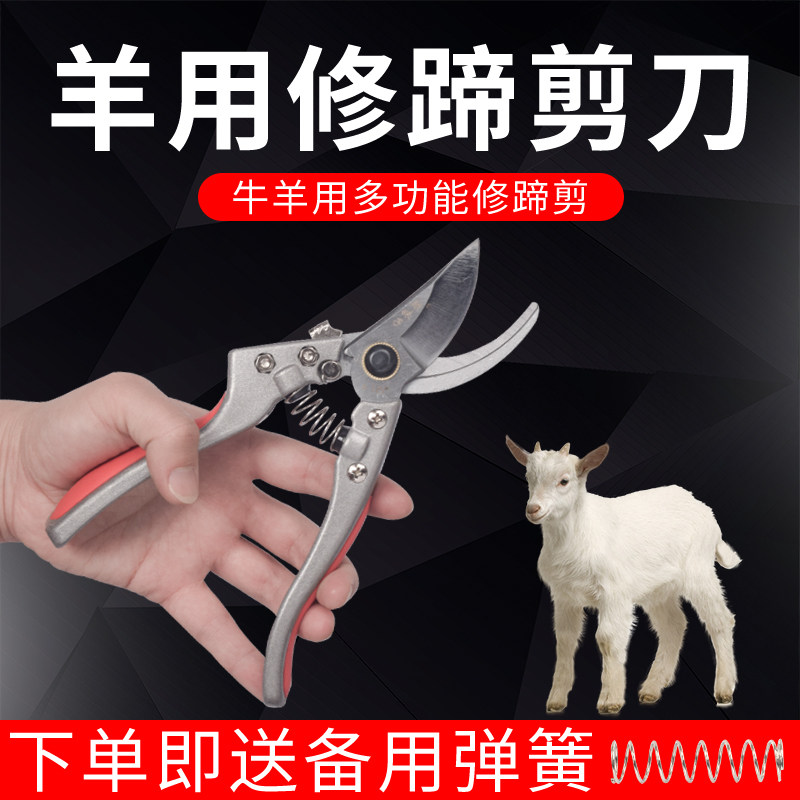 修羊蹄子剪刀羊修蹄刀兽用剪蹄刀羊修蹄工具剪脚趾剪子刀养羊用品,淘宝优惠券,粉丝福利购,淘宝优惠卷