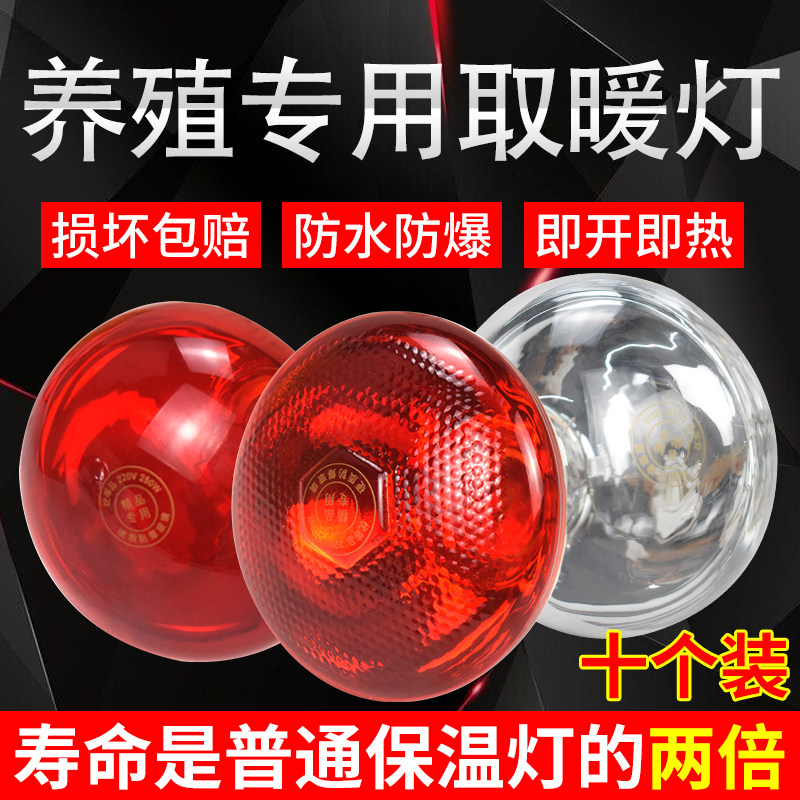 红外线保暖灯仔猪红外线灯泡取暖灯畜牧保温灯泡养殖场专用保暖灯,淘宝优惠券,粉丝福利购,淘宝优惠卷