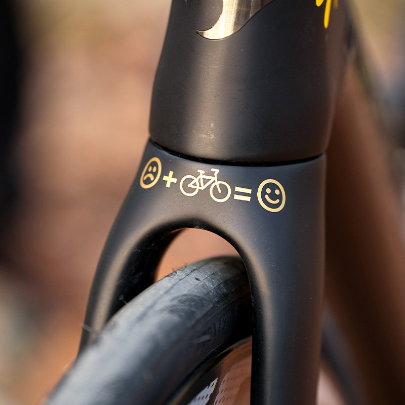 READU贴纸自行车贴纸装饰个性贴画骑车开心贴纸前叉贴一体把贴纸,淘宝优惠券,粉丝福利购,淘宝优惠卷