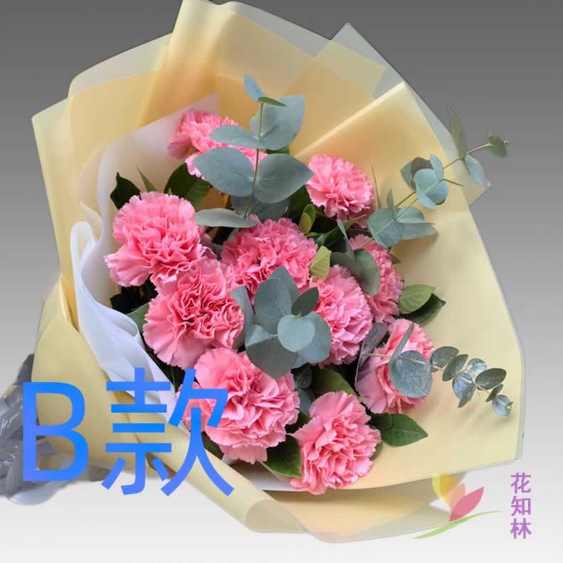 生日康乃馨黑龙江牡丹江花店送花东宁县林口县绥芬河同城鲜花快递-图1