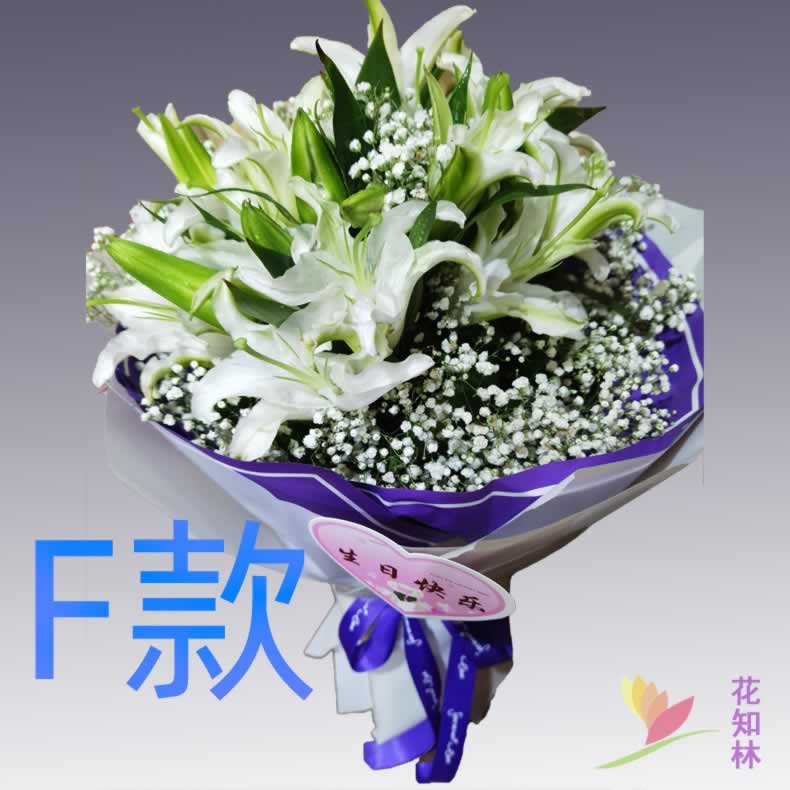 生日祝寿求婚白百合河北邯郸花店送花涉县磁县肥乡县同城鲜花快递 - 图2