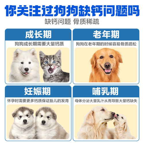 肯特仕零食冻干奶酪块幼犬补钙训练奖励泰迪柯基金毛宠物冻干零食 - 图1