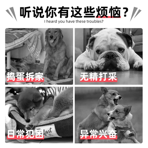 [狗狗玩具解闷神器金毛耐咬磨牙宠物狗玩具球柯基柴犬玩具消耗体力]