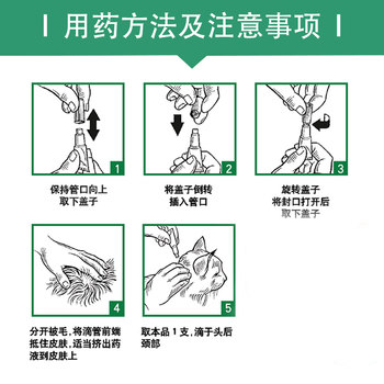 Bayer Wangdijing cat ຢອດຢາໄລ່ແມງໄມ້ພາຍນອກສໍາລັບການກໍາຈັດ flea, 2 ຊອງສໍາລັບການໄລ່ແມງໄມ້ພາຍນອກພາຍໃນ 4 ປອນ