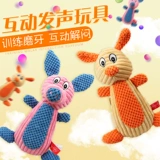 Собаки с игрушками чистые зубы щенки вокальные борьбы Тедди Корки Шиба Ину