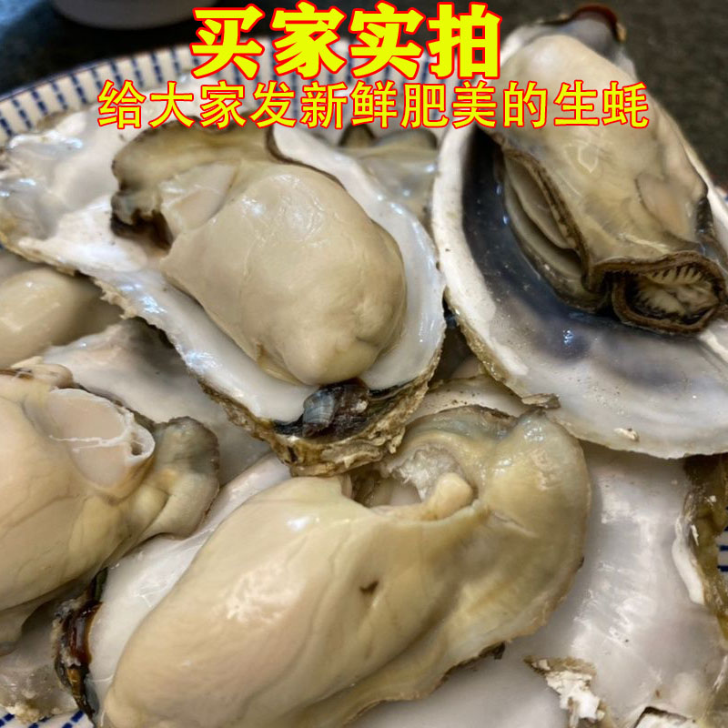 生蚝鲜活净重5斤新鲜海鲜水产野生牡蛎海蛎子特大整箱10烧烤-图1