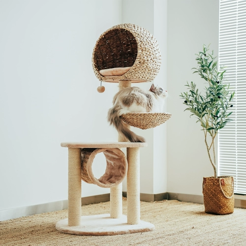 Meizi Cat & Kerry Natural Pucao Woven Cat Gnes