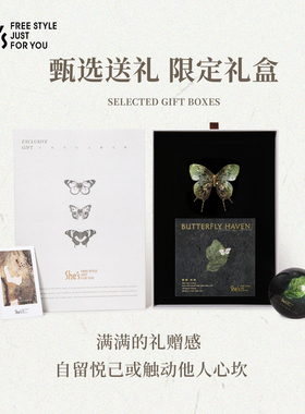 shes刺绣蝴蝶胸针纸镇精品套装
