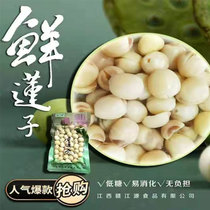 Stone City Fresh Lotus Seed Fresh Stone City White Lotus Seed Free of Core Tete-level Lotus-free Sulphur Saucepan Soup Materials Raw for Fresh Lions