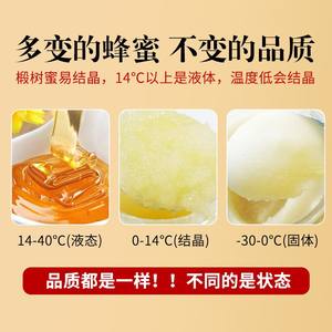 吉林敖东椴树蜜500g/瓶天然特级一等品蜂蜜长白山蜂蜜