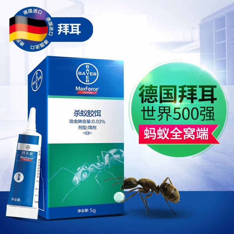 蚂蚁饵 新人首单立减十元 21年10月 淘宝海外