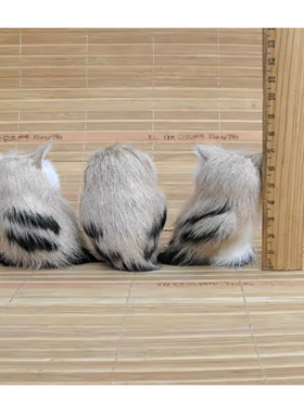 仿真小猫头鹰橱窗陈列摆件