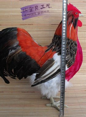 仿真大公鸡摆件羽毛工艺品