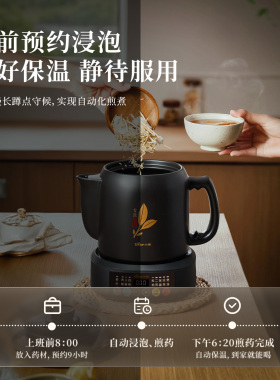 小熊煎药壶电煎壶熬中药砂锅全自动家用多功能药罐养身煮中药煲