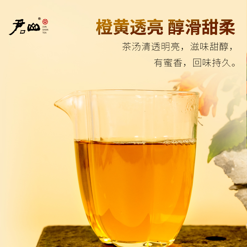 【君山牌】君山茶叶旗舰店紧压黄茶50g盒装随手礼黄金砖湖南特产 - 图2