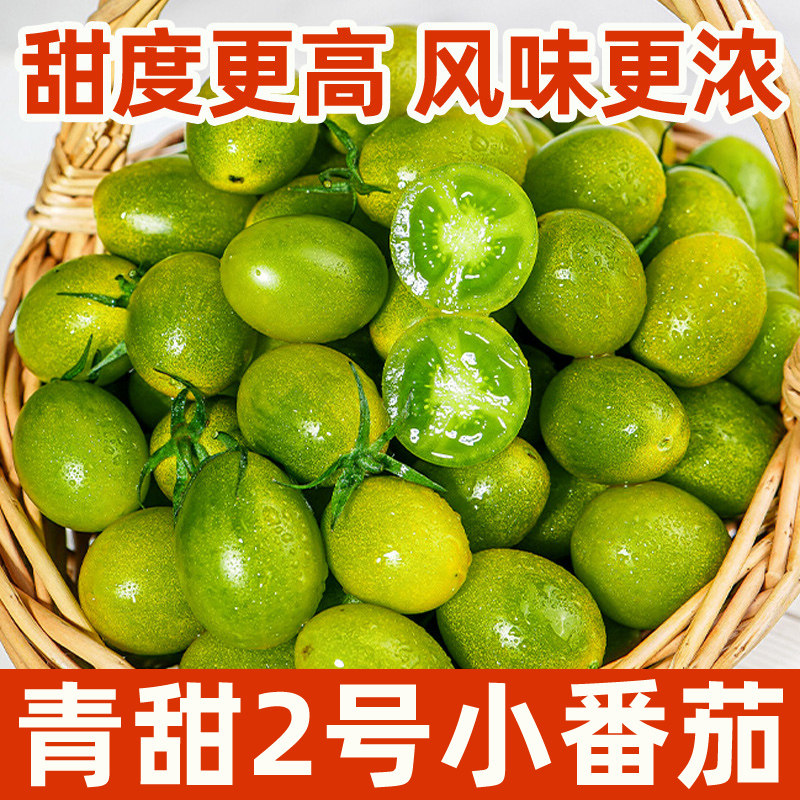 青口蜜圣女果绿色青甜2号小番茄新鲜绿千禧即食小柿子生吃