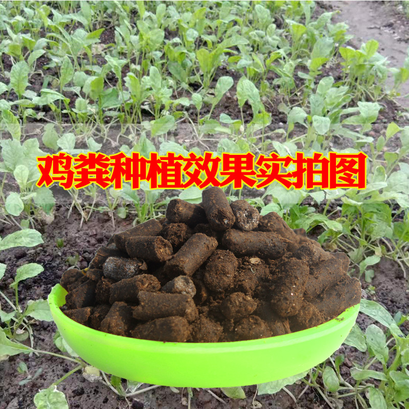 颗粒鸡粪肥料蔬菜花肥发酵营养土阳台纯鸡肥生物有机肥散装5斤-图2