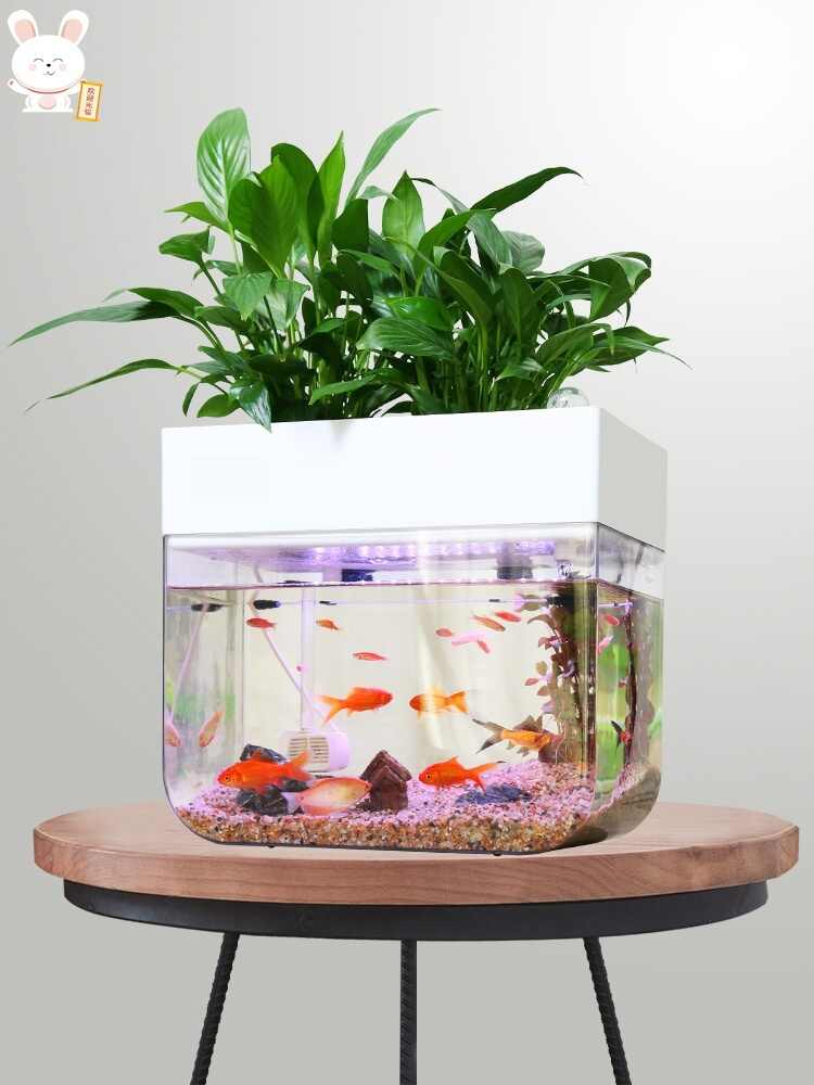 温室栽培设备 新人首单立减十元 21年9月 淘宝海外