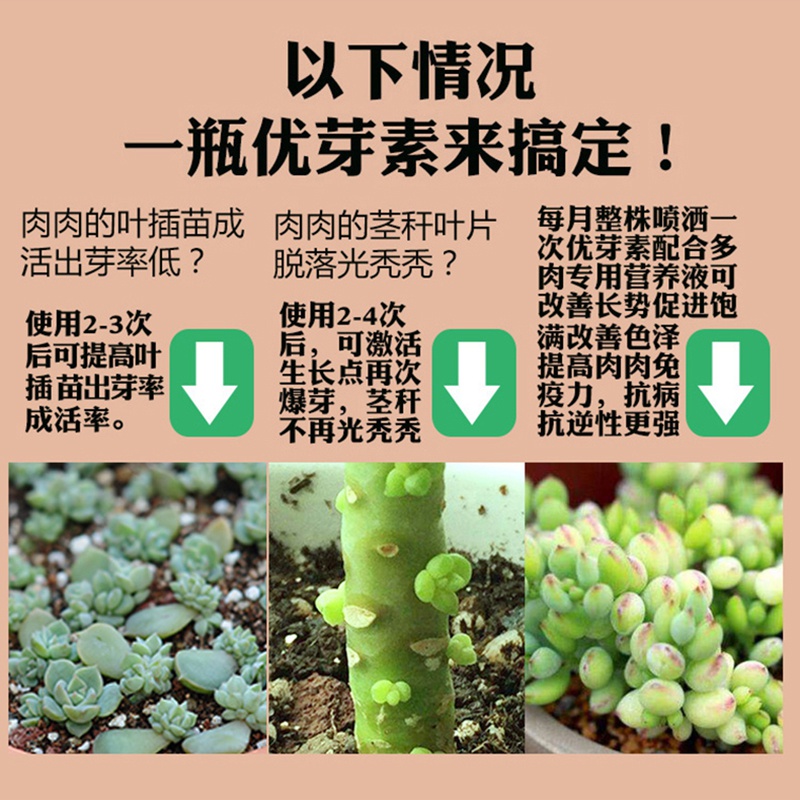 优芽素多肉植物爆侧芽细胞分裂素激素促花芽花卉生长素 跃帆小店的小店 淘优券
